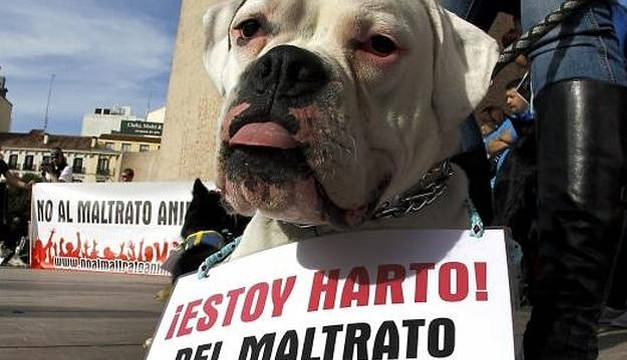Manifestación en contra del maltrato animal en Madrid. Foto: EFE