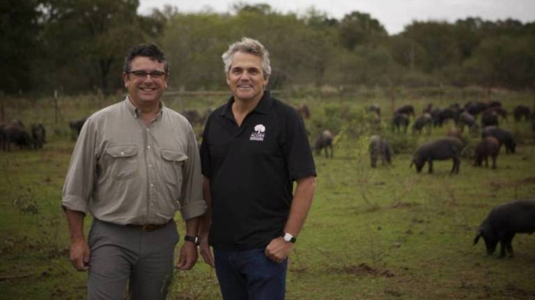 Manuel Murga (i) y Sergio Pascual (d), junto sus cerdos, en una granja de Texas. (Fotos: Acornseekers)