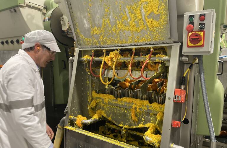 La máquina extractora disgrega la fruta en sus elementos principales. Foto: VP