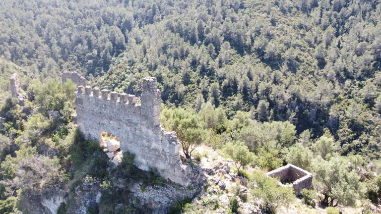 Castillo de Vilallonga.